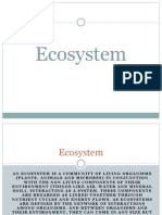 Ecosystem - N23atural Ecosystem Belen