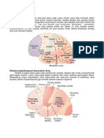 Cortex Cerebri - Area Asosiasi - Arzia