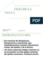 Patologia de La Vulva