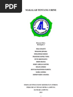 Download Makalah Tentang Urine by Ridho Cinta Nita SN133650921 doc pdf