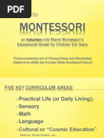 Download EC423 Montessori Slide Show Final by Dundas Valley Montessori School SN133655140 doc pdf