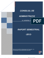 Raport APAVITAL - 2012