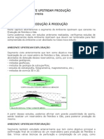 Ambupprod Petroleo e Gas 2 Ano 1 Capitulo