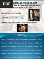 Aula 01 bases gerais - Cópia.pdf