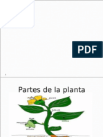 La Planta