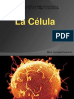 La célula.ppt