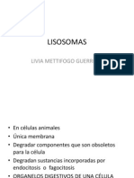 LISOSOMAS y Peroxisomas