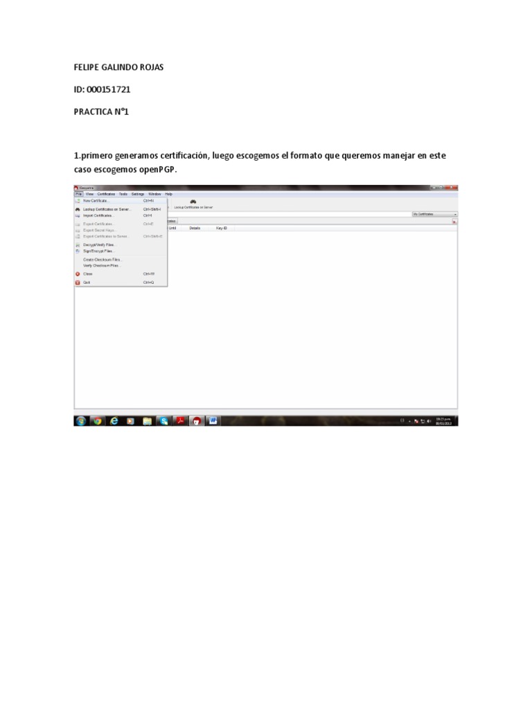 Practica 2 | PDF