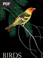 Download Yosemite nature notes - Birds of Yosemite by shelfedge SN133683071 doc pdf