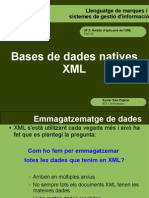 ASIX M4 UF2 4a BDD Natives XML