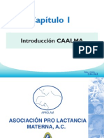 1.introduccion CAALMA