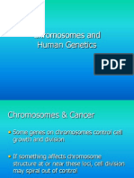 Lecture Chromsomes and Human Genetics Fall 2013