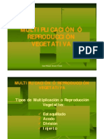 Multiplicación+ó+reproducción+vegetativa PPT