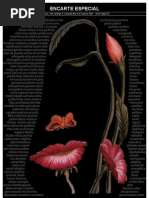 Encarte Especial Dia Da Mulher