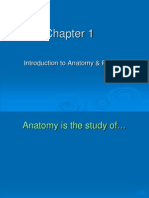 Introduction To Anatomy & Physiology