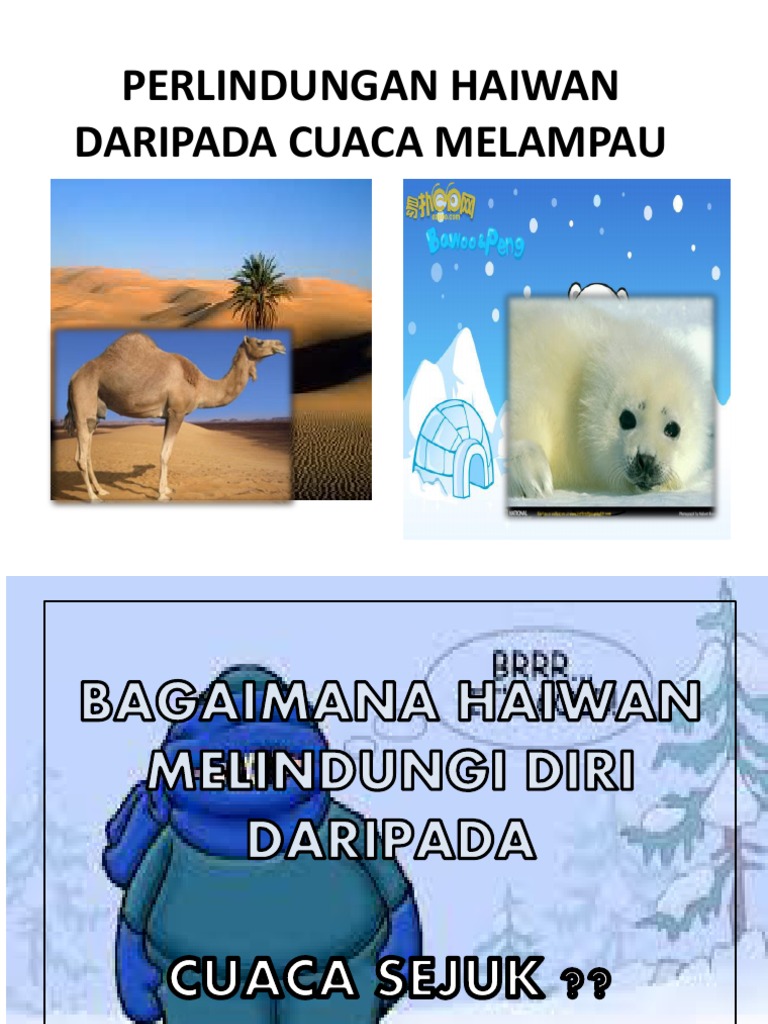 Perlindungan Haiwan Daripada Cuaca Melampau Pdf