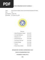 Download IMKG Praktikum - Hasil Tanam Tuang by Rahmah A Dianingrum SN133751747 doc pdf