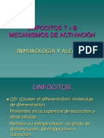 Activación de Linfocitos T y B