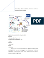 Diagnosis, Prognosis, Penyakit Schistosomiasis