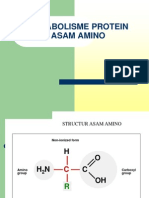 Metabolisme Protein Asam Amino-12