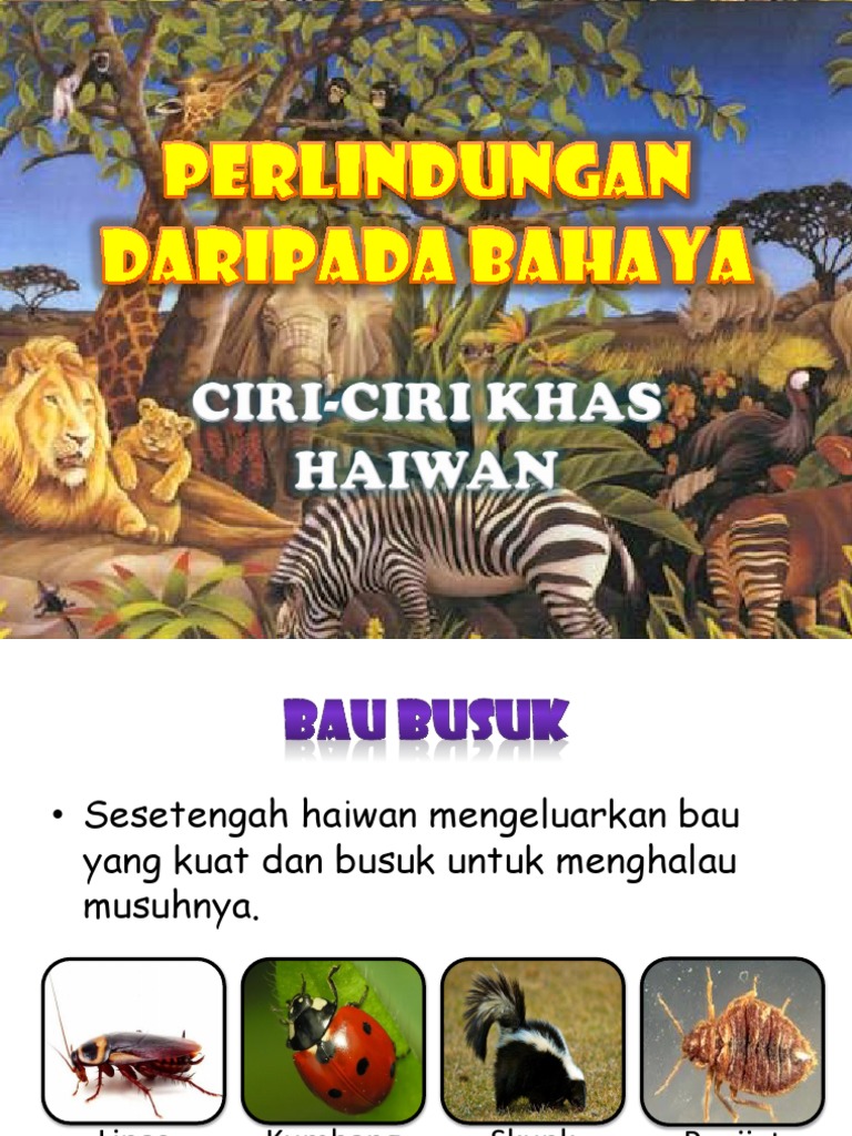 Category Sains Tahun 5 Chang Tun Kuet