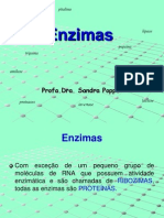 5_ENZIMAS(1)