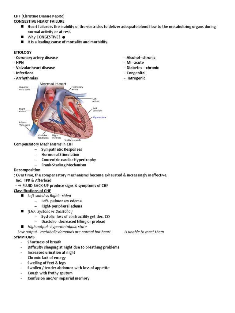 Congestive Heart Failure Report PDF Heart Failure Heart