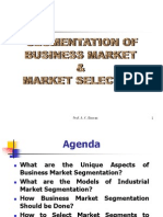 Business Market Segmentation (P)