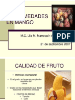 Enfermedades Del Mango