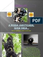 A Nossa Jabuticaba Quem Dir