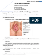 Apostila I - Mód. II - Sistema Reprodutor Feminino - colorido