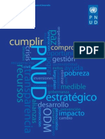 Informe Anual PNUD - 2009