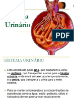 Sistema Urin Rio
