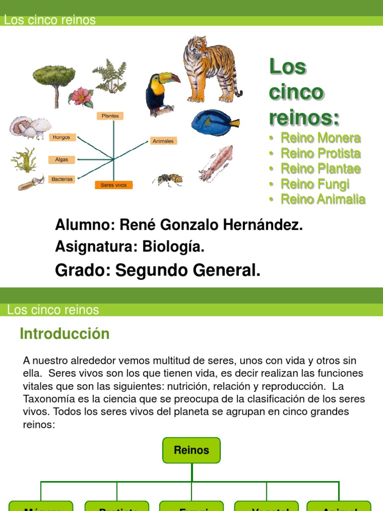 Los Cinco Reinos | PDF | Plantas | Organismos