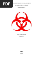 AULA BIOSSSEGURANÇA 2013