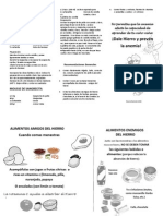 Recetario Anemia PDF