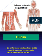 02 Sistema músculo-esquelético I