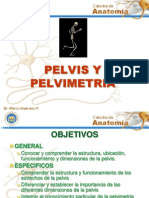 98746222 Pelvis y Pelvimetria Osea