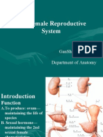 11th - The Female Reproductive System