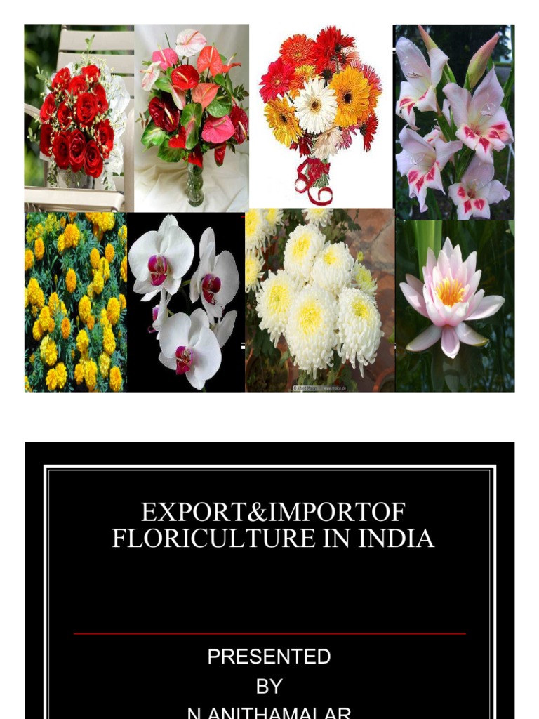 Export&Import floriculture in india