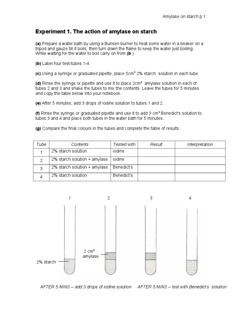 Amylase starch reaction equation picture