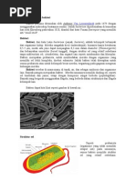 Download Bakteri Virus Parasit by Afriesta Gazzkind SN133981320 doc pdf