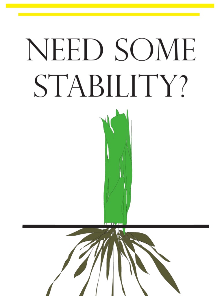 Need Some Stability?: Learn More | PDF