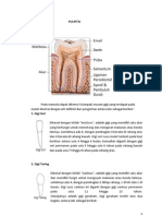 PULPITIS Tutorial