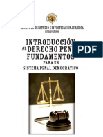 Introduccion Derecho Penal