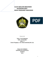 Download MAKALAH Natrium Nitrit 2003 by Dwi Aji Maulana SN134031193 doc pdf