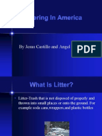 Littering in America