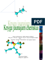 Knyga Jaunajam Chemikui