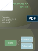 Classification of Cells