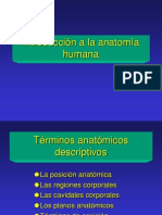 01 Introducción anatomía